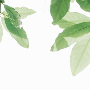 深圳人BBBBB桑BBBB
